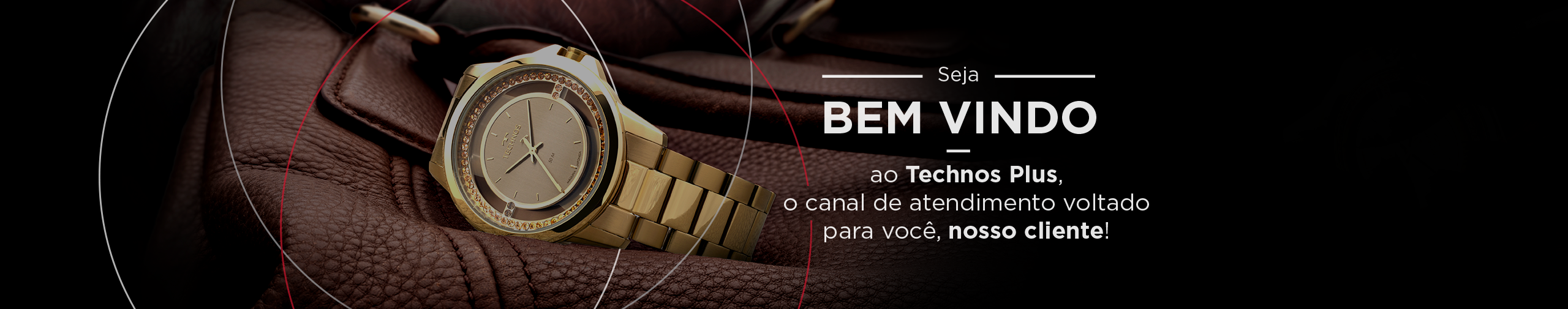 Primeiro Slide